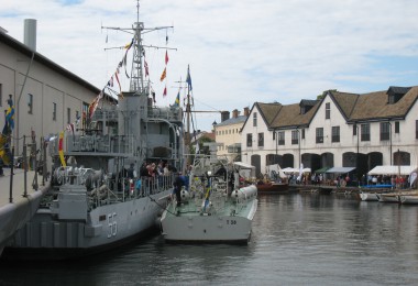 Medlemsdag 2008